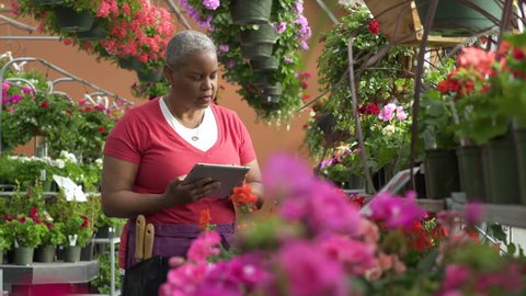 Senior woman working with a tablet in a greenhouse