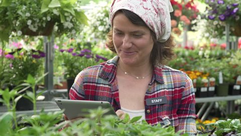 Mid adult woman working with a tablet in a greenhouse