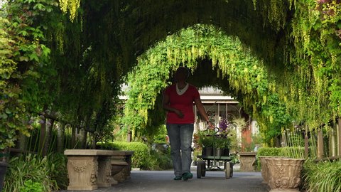 Senior woman pulling a cart in a garden