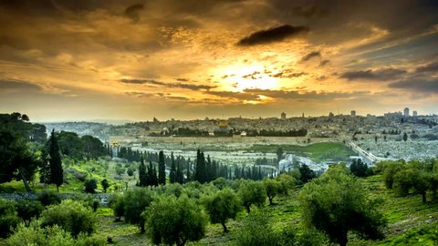 Dramatic sunset time lapse of Jerusalem's Old City, view from the Mount of Olives, with an olive grove in the foreground