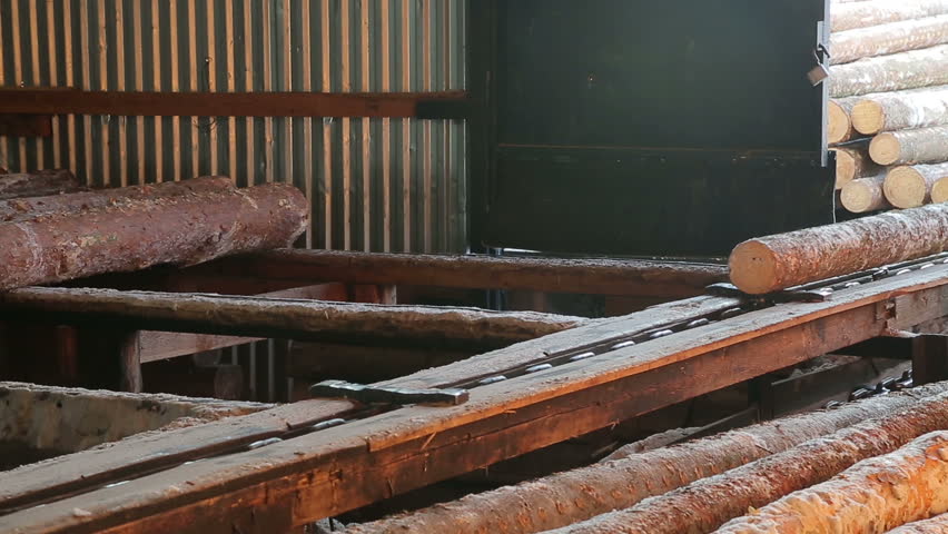 round timber logs preparation sorting processing at sawmill