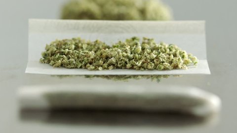 Cannabis in rolling paper waiting to be rolled, with rolled joint in foreground