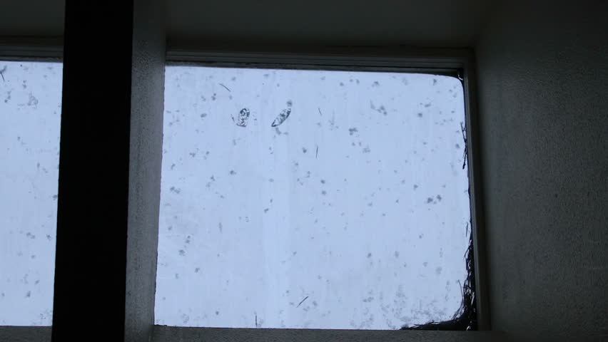 skylight veiw of snow
