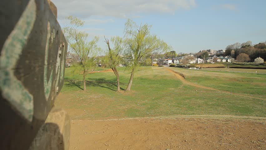 Slightly Higher Place / Weeping Willow / Sprouting, Translation: "Whale Mountain"
