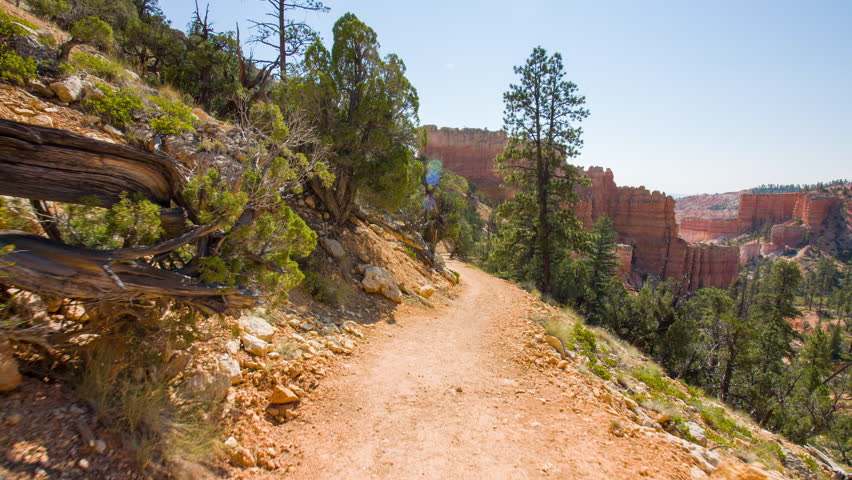 Walk along the path in the fir forest. Green pine-trees on rock slopes. Video in motion. Nature video. Amazing mountain landscape. Bryce Canyon National Park. Utah.USA. 4K, 3840*2160, high bit rate