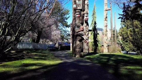 Victoria, British Columbia,Canada- March 11, 2018: Springtime in Thunderbird totem poles park aerial video 1. 
Totem poles made by indigenous Canadians.