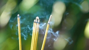 Incense burning. Royalty high quality free stock footage of incenses burning in garden with blur background. Close focus of incense with copy space for text or advertising