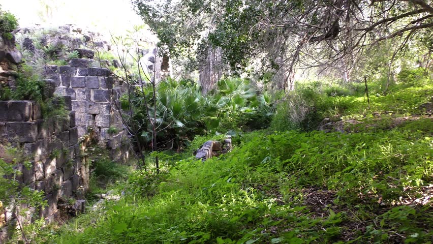 Ruins of Roman baths hot springs structures and arches of Hamat Gader sunken in vegetation in the South of Golan Heights, Pan R to L