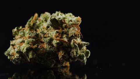 cannabis bud on black background close up