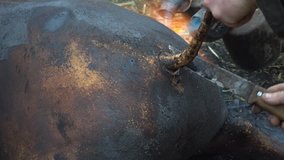 Treatment of pig mascara with a blowtorch fire. Traditional village pig slaughter in eastern European countries video 4k.