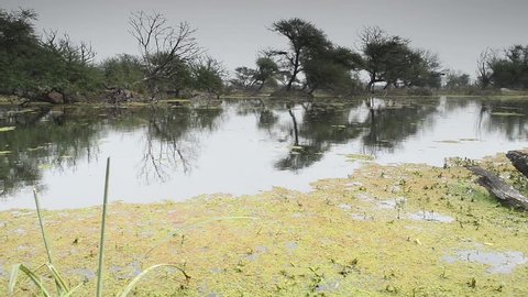 beautiful lake in the Keolado National Park, India