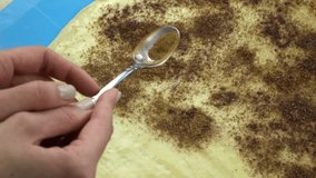 Slow motion footage. Baker hand sprinkling a layer of cinnamon on raw pastry dough.