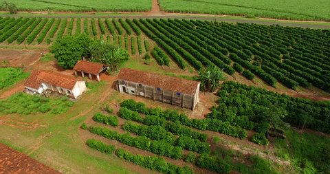 Very simple house, coffee plantation and chicken coop on a farm in Brazil 