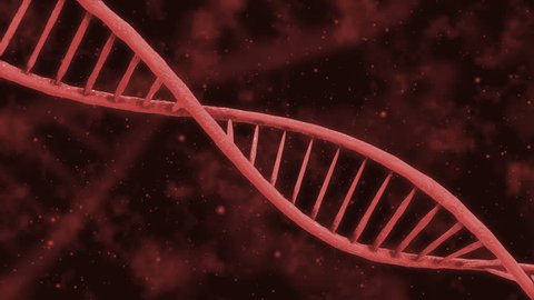 Red Dna Double Helix Rotation Multi Stock Footage Video (100% Royalty ...