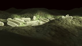 Microscopic 3d animation of bacteria on a surface, 360 degree loop video