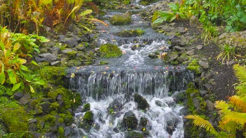Beautiful Waterfall in Royal Botanic Garden in Edinburgh, Scotland