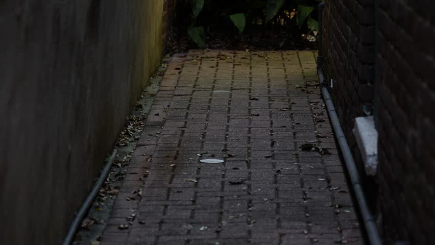 zoom out on a dark grunge narrow alley off Bourbon Street New Orleans Louisiana with cobblestones