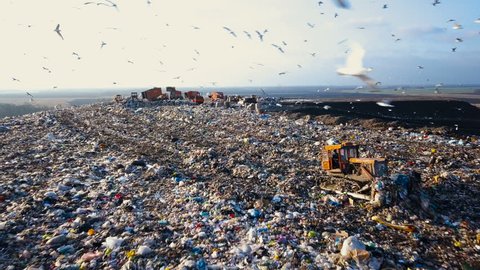 City Dump. The Bulldozer Moves Along the Landfill, Leveling the Garbage. Gulls Feeding on Food Waste Fly Over It. Aerial View