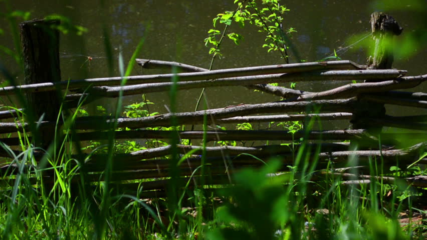  Wicker fence on the shore of forest lake