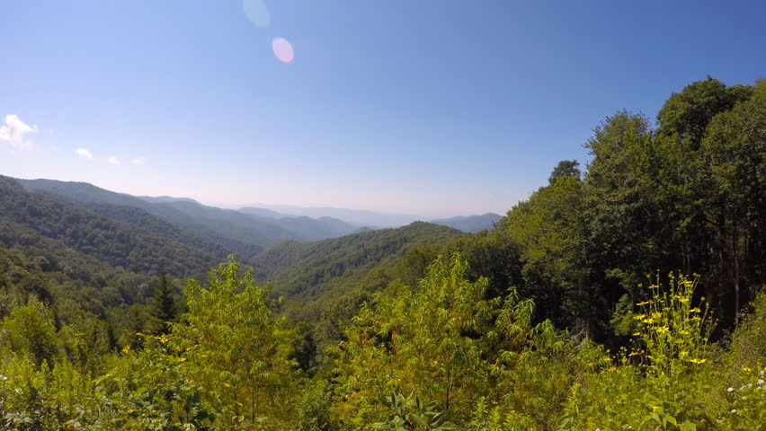 Great Smoky Mountains National Park with Maryland golden aster flowers under blue sky on sunny summer day