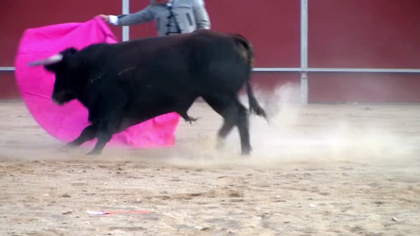 Spanish traditional bullfight san fermín dangerous 