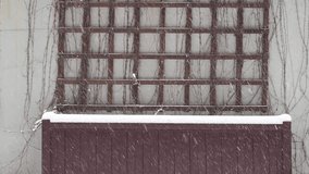 Heavy snow falling over a wood planter box with grid-style screen