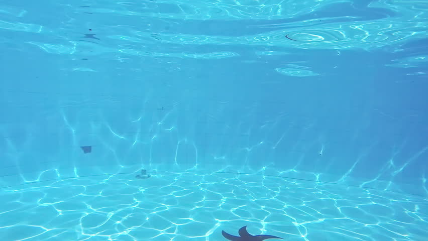 Underwater view of happy fun loving group of friends jumping and diving into swimming pool at a pool party in summer sunny day. Slow motion.