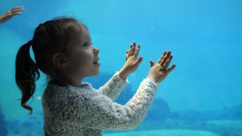 Little child girl watches admires penguins behind glass under water aquarium in zoo