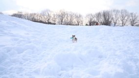 Active playing running dog with disk toy. Winter weather snowy white moments. DLSR camera slow motion video footage