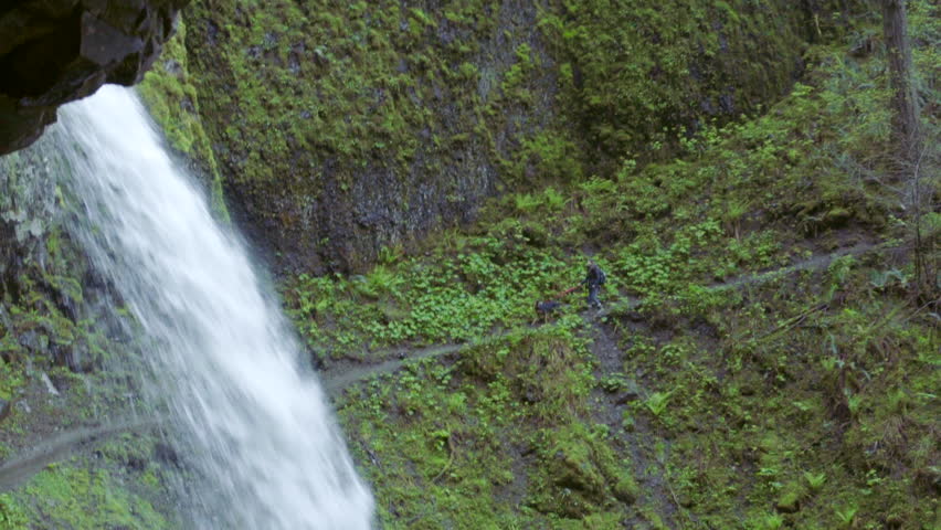 Woman walking her dog on a hiking trail by a waterfall in a forest.