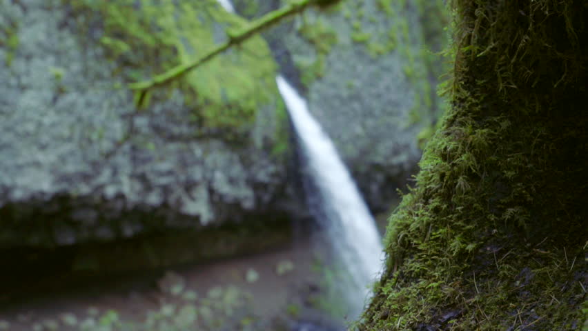 Hiker walks her dog underneath a gorgeous waterfall in a remote forest.