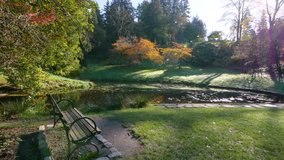 Amazing lake with sun rays in the autumn park. Nature video. Park landscape. Washington park arboretum, Seattle, WA, USA. 4K, 3840*2160, high bit rate, UHD