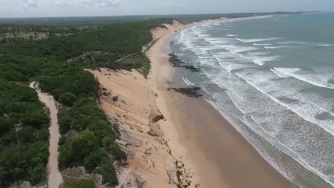 Aerial view of Baía Formosa Beach, Rio Grande do Norte, Northeast coast of Brazil