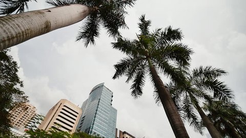 Gardens and skyscrapers seen at Ayala Triangle Park, in Makati, Metro Manila.