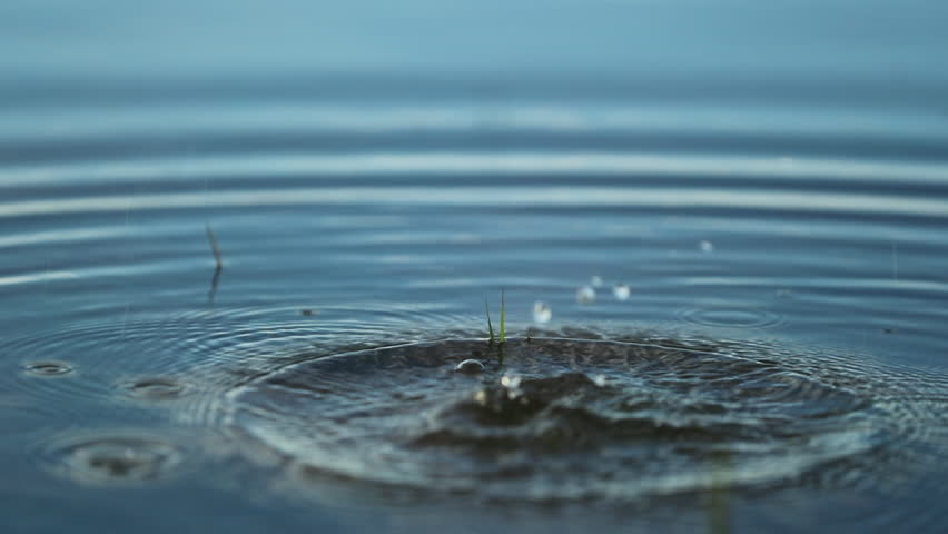 Stone Thrown Into Water Surface 120fps Stock Footage Video 100