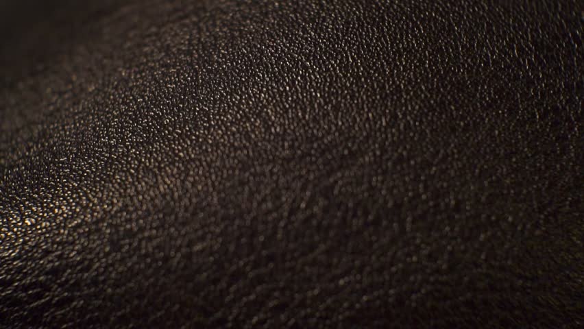 Surface smooth polished textured shiny dark leather.close up. | Shutterstock HD Video #1008881171