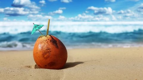 Fresh yellow coconut on tropical beach with white sand. Caribbean cocktail.