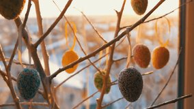 Easter multicolored eggs on white decorative branches. A stylish bouquet of Easter eggs stands on the windowsill in the rays of the dawn sun. Slow motion