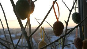 Easter multicolored eggs on white ornamental branches. A stylish bouquet of Easter eggs stands on the windowsill in the rays of the dawn sun. Slow motion