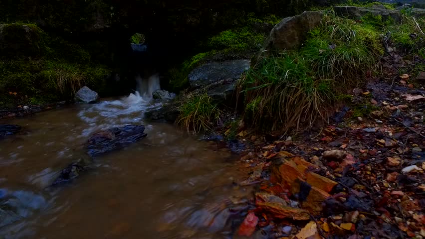 Small water stream in the park.