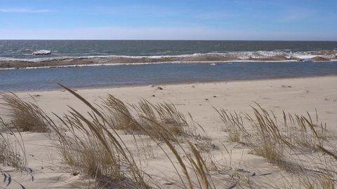 Large lake as seen from dune in late winter, early spring on windy day. Water with ice and snow, blue sky in the background, beach grass and sand in foreground