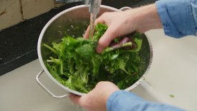 Man Hands Washing Green Leafy Vegetable In Colander At Kitchen
