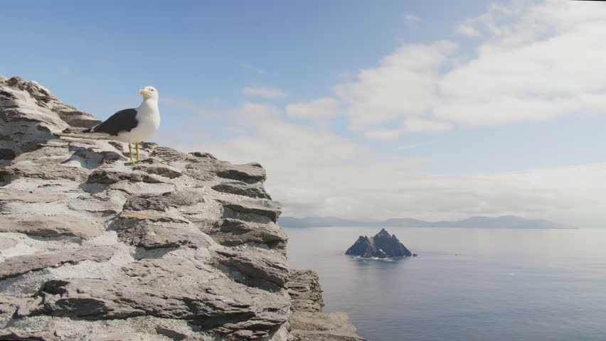 Seagull Perching On Skellig Michael Island Against Sky