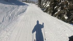 Mountain skiing among wood. Skier, skis. POV slow motion clip