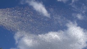 This is a beautiful slow motion video of Summer or autumn Rainfall On The Sky and Sun Background. Great for compositing cool vfx shots or as a background for your graphics, logos or type elements. 