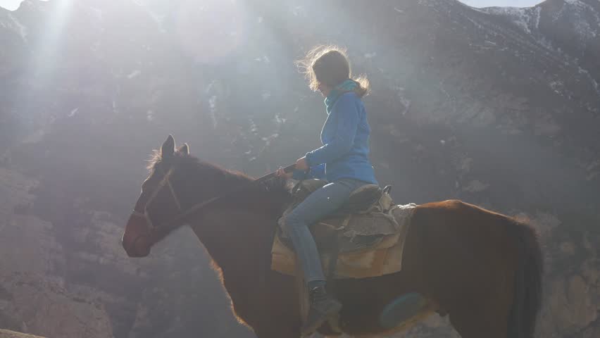 Woman on a horse in the sun