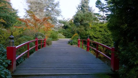 Wooden bridge in the autumn park. Video in motion along the bridge. Nature video. Park landscape. Washington park arboretum, Seattle, WA, USA. 4K, 3840*2160, high bit rate, UHD
