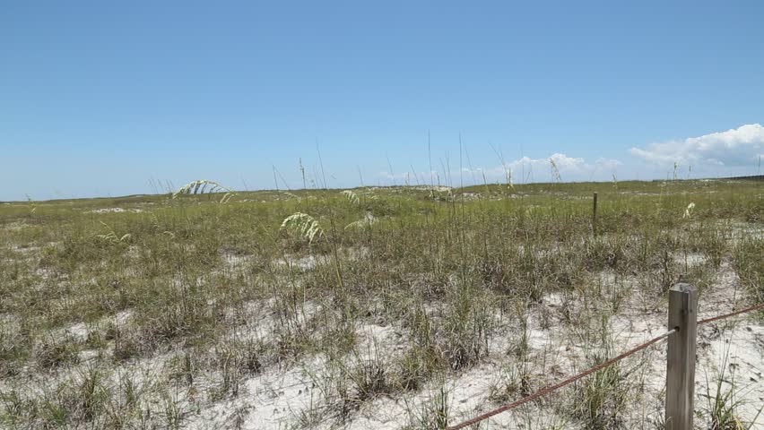Orange Beach Alabama the pass by the water
