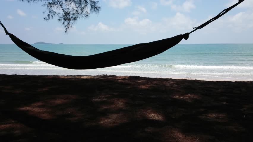 Hammock on the beach with pine tree, blue sky and beautiful beach