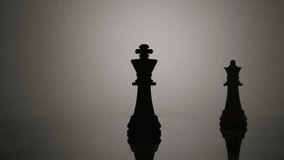 silhouette of a queen taking a king in chess